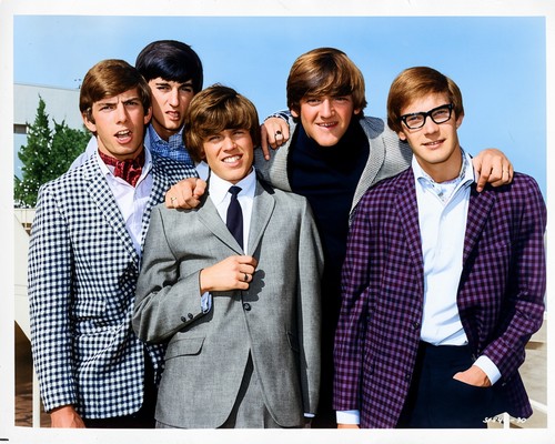 Hermans hermits colour x - hermans,