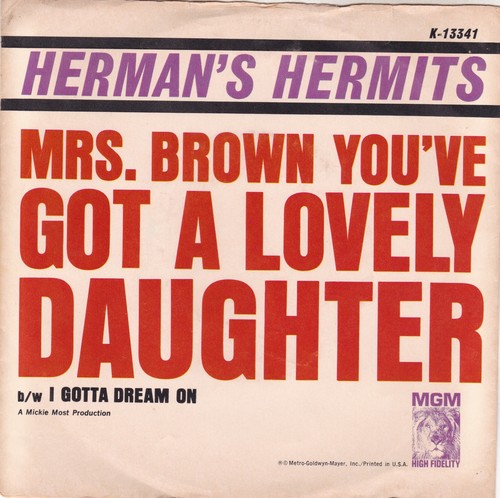Pop rock herman - pop, hermits