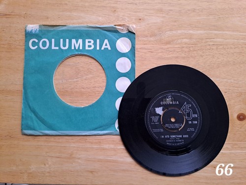 Hermans hermits m into - ,